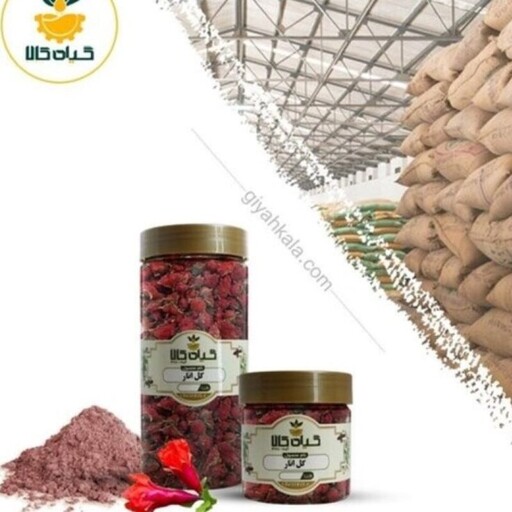 گل انار با کیفیت عالی، بار امسالی و تازه(750گرمی )