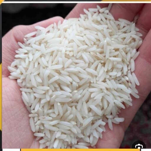 برنج هاشمی اعلا امساله (10 کیلویی) ترنجبین