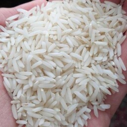 برنج عنبر بو (5 کیلو) ترنجبین