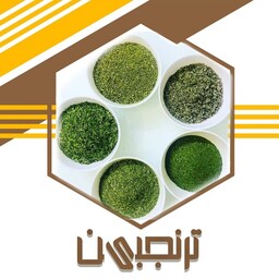 سبزی خشک گشنیز معطر اعلا (100گرم )ترنجبین