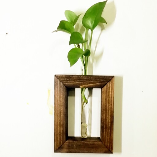 قاب باکس چوبی با کاربری گلدان دیواری چوبی با لوله بزرگ با قابلیت رشد گیاه زنده