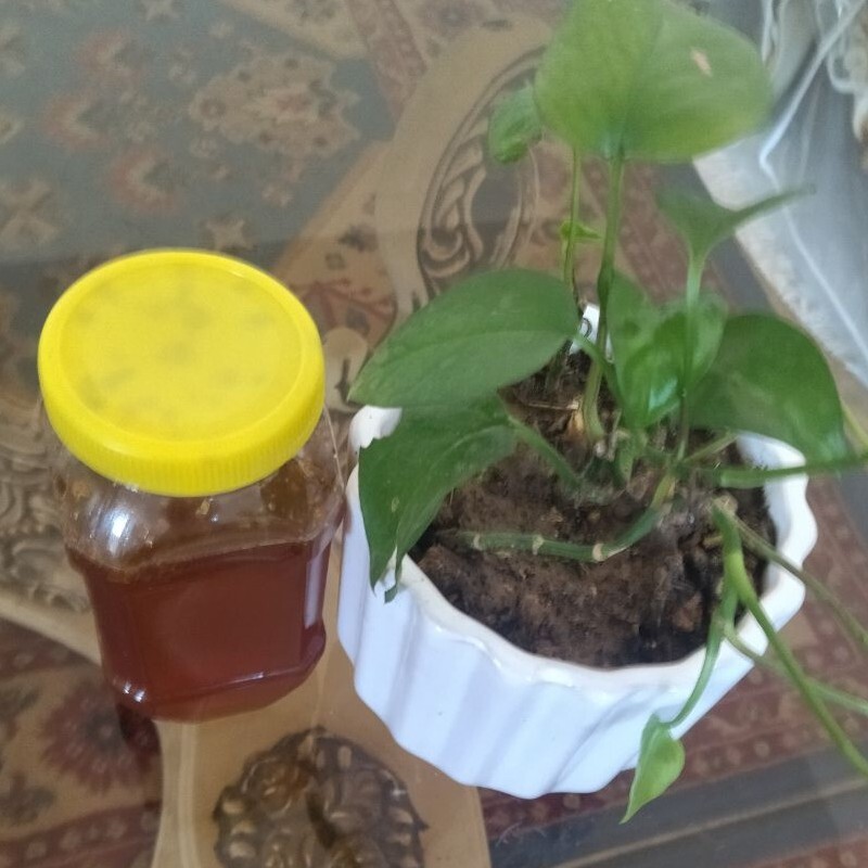 عسل چهل گیاه طبیعی 1 کیلویی