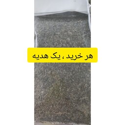 پونه کوهی خشک