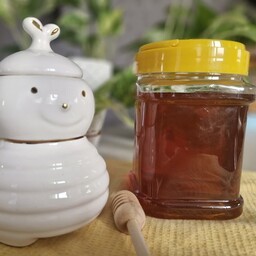 عسل خارشتر کاملا ارگانیک و طبیعی در بسته بندی یک کیلوئی