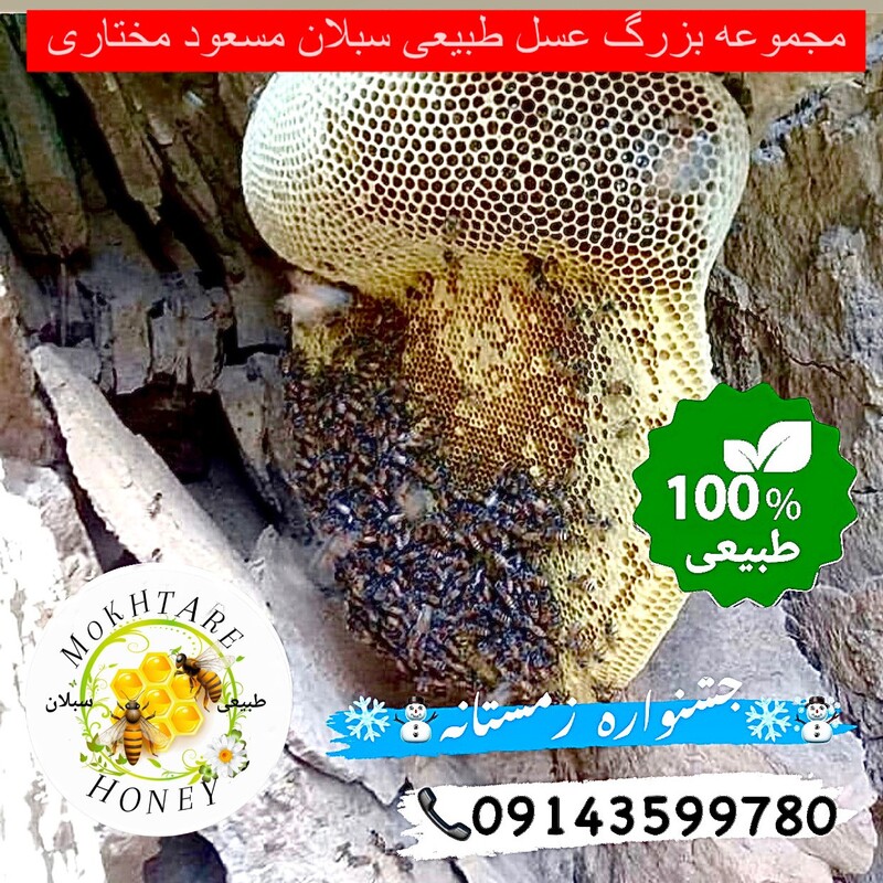 عسل وحشی ارگانیک خام 1کیلویی ساکارز نیم درصد(مستقیم از زنبوردار)ارسال رایگان