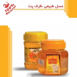  عسل انگبین  طبیعی بدون مواد افزودنی کارتن 12 عددی(500گرمی) 