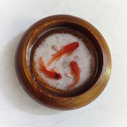 ظرف چوبی حوض ماهی سه بعدی هفتسین