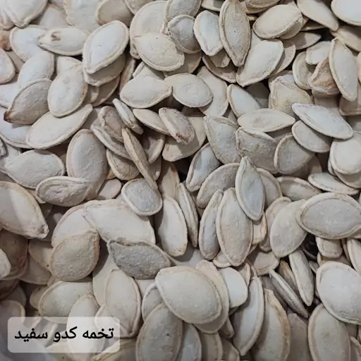 تخمه کدو سفید (500 گرمی)