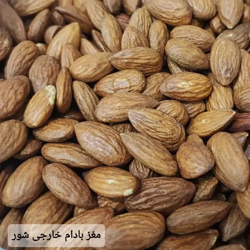 مغز بادام درختی خارجی شور ( 100 گرمی )