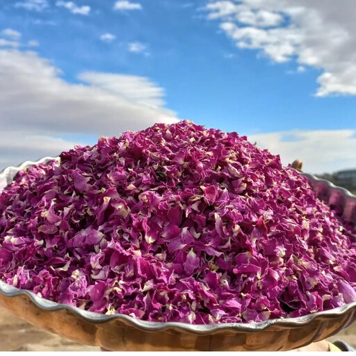 برگ گل محمدی 