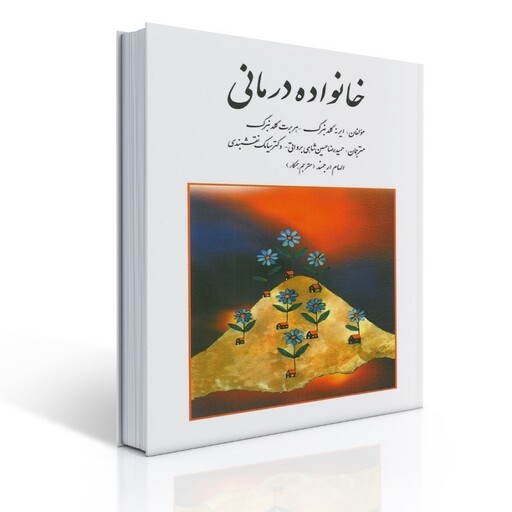 کتاب خانواده درمانی گلدنبرگ ترجمه سیامک نقشبندی نشر روان