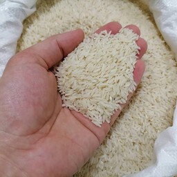 برنج صدری دمسیاه فوق اعلا طبیعی کشت اول