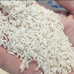 برنج  صدری هاشمی فوق اعلا و طبیعی آستانه اشرفیه