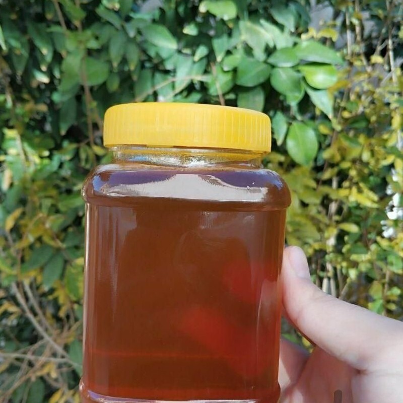 عسل طبیعی سبلان کیلویی 190 کاملا سالم و مفید و ارگانیک 