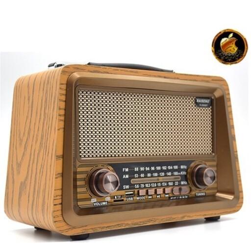رادیو اسپیکر RAISENG-R-2066BT 