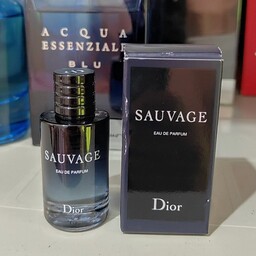 عطر ادکلن دی ور ساواج تستر سفارش مبدا sauvage