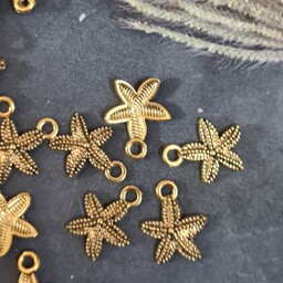 خرجکار طلایی ستاره دریایی حلقه دار مدال آویزی پَک 12 عددی 