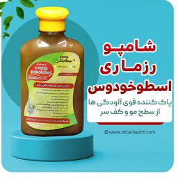 شامپو رزماری اسطوخودوس 