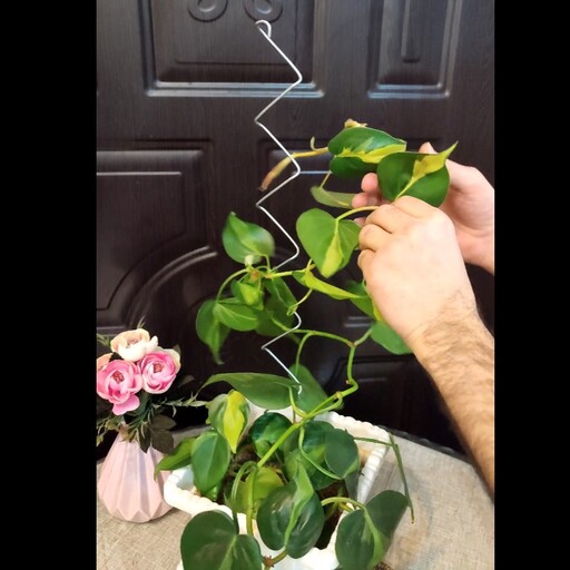 نگهدارنده گل و گیاه-20عددی ارسال رایگان پیشتاز  گارانتی تعویض 10ساله گالوانیزه ضدزنگ قیم 
