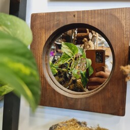 آینه چوبی دیواری