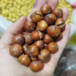 فندق برشته آجیلی ترد تازه(200گرمی) فندوق قزوینی