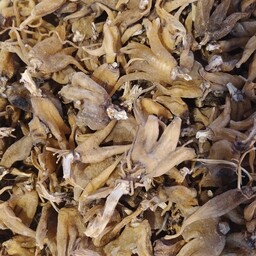 ریشه ثعلب  پنجه ای  خشک 250 گرمی درجه یک صادراتی (کمیاب) 