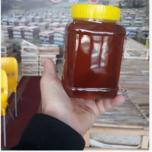 عسل  گون صددر صد طبیعی با ساکارز زیر 2 درصد یک کیلویی