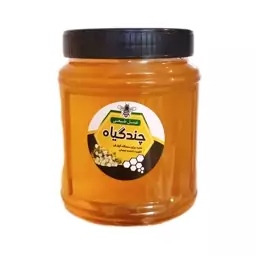 عسل چندگیاه 1کیلویی