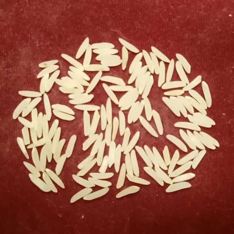 برنج فجر شمشیری اصل 5 کیلویی