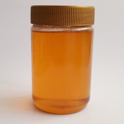 عسل گون خام (یک کیلویی) ساکارز زیر نیم  تخفیف 30هزار تومانی به صورت خودکار اعمال می شود 