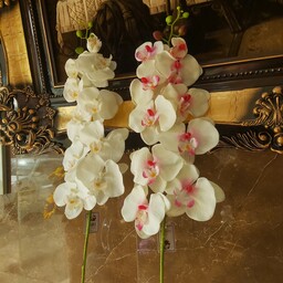 گل ارکیده مصنوعی لوکس 10 گل در ارتفاع 92 سانت (عالیجناب)