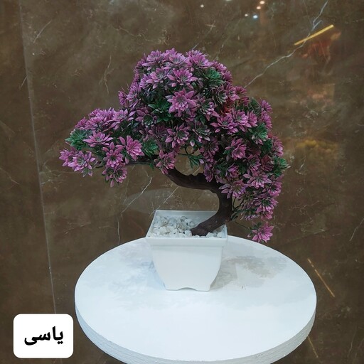درختچه مصنوعی بنسای تزیینی به همراه گلدان(عالیجناب)