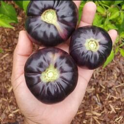  بذر گوجه بلک بیوتی  Black beauty tomatoes