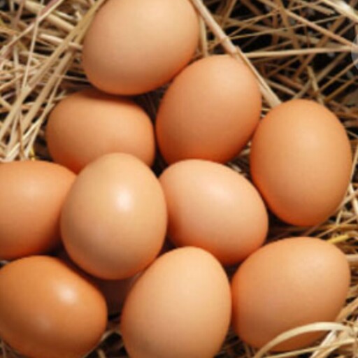 تخم مرغ محلی ارگانیک (6تایی)