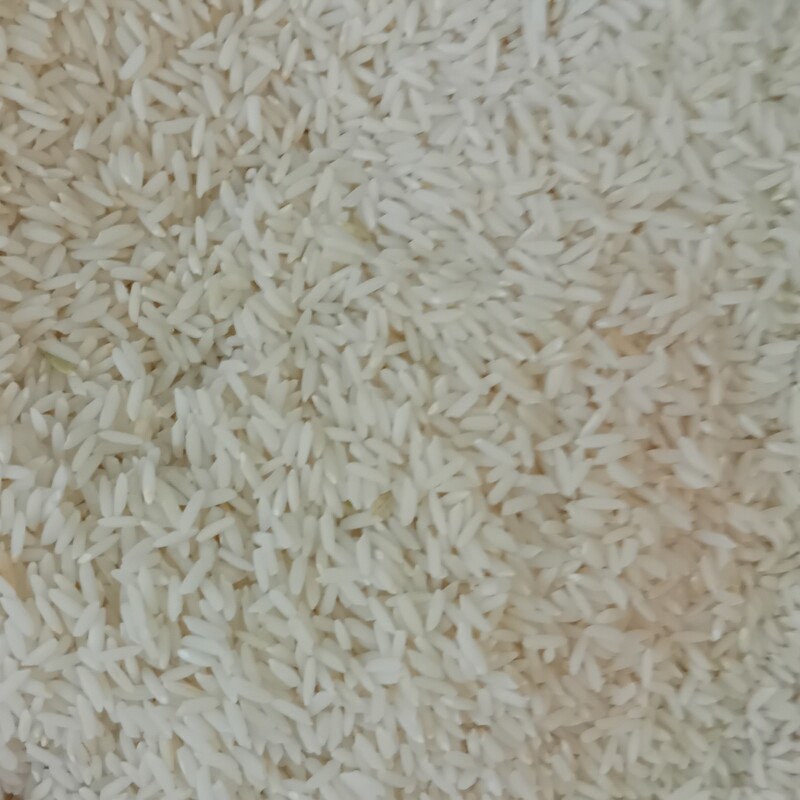 برنج میانه گونی 25 کیلویی