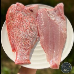 ماهی سرخو اصل صادراتی ( پک 5 کیلویی )