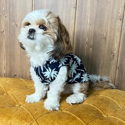 لباس هاوایی مناسب سگ و گربه جنس نخی سبک و خنک رنگ سورمه ای