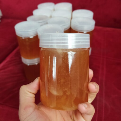 عسل یونجه ارگانیک خالص بدون افزودنی(500گرمی)