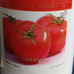بذر گوجه فرنگی درشت پویا سیدز  مناسب کشت خانگی