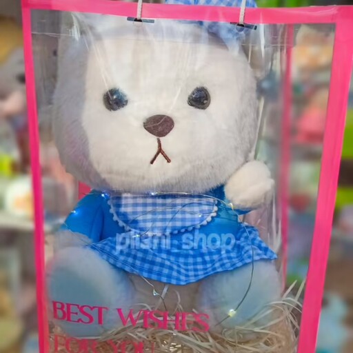 عروسک خرس های وارداتی عروسک خرس پولیشی عروسک خرس لباس دار 