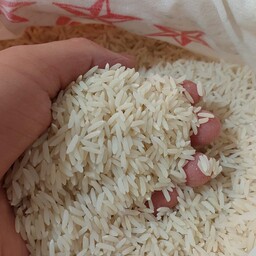 برنج طارم هاشمی درجه یک امسالی