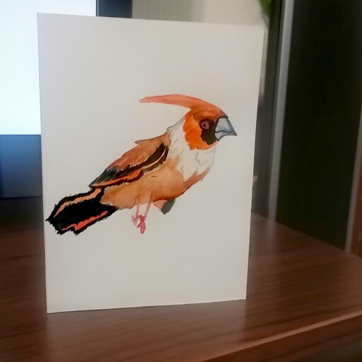 کارت پستال پرنده. کد3