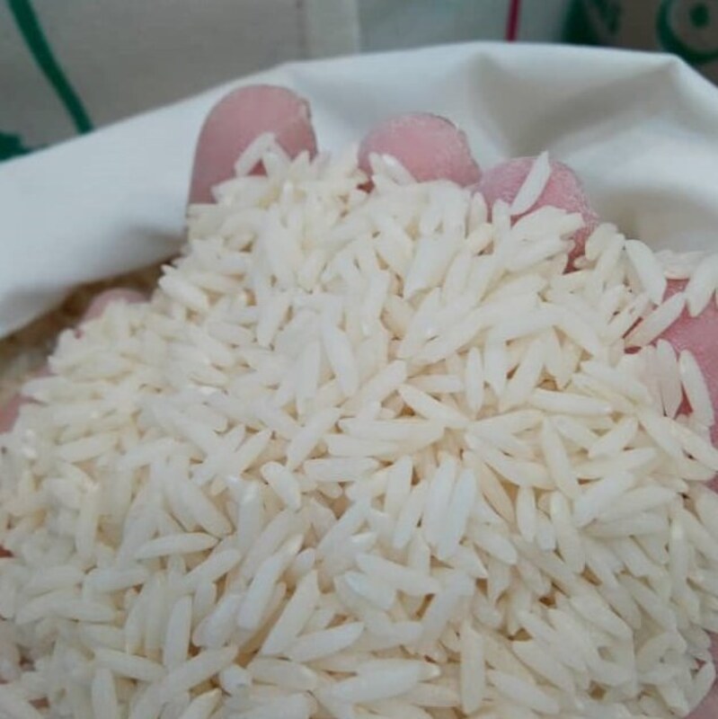 برنج کشت دوم درجه یک و ارگانیک  امساله فریدونکنار بسته 10 کیلیویی