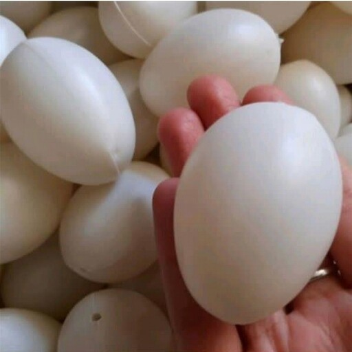 تخم مرغ پلاستیکی تزئینی سفید ( 1عددی) هایپر آذین 