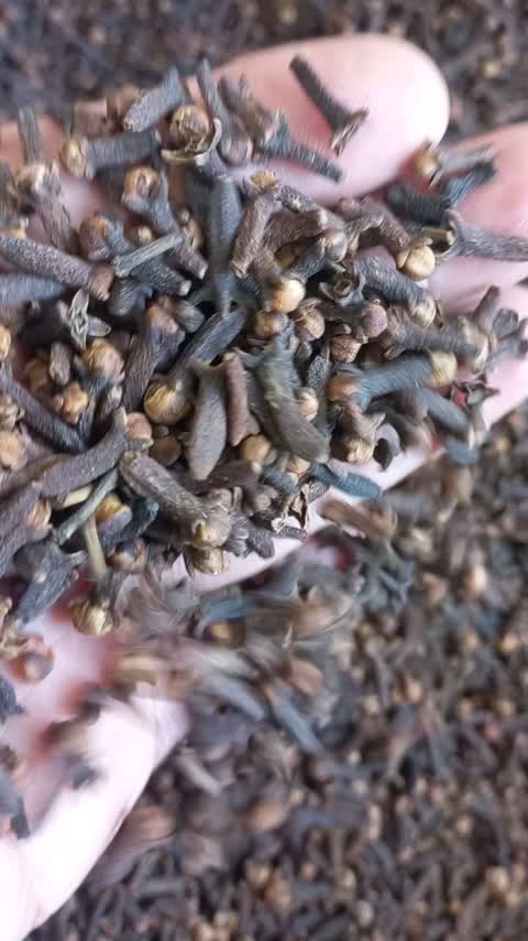 میخک اعلا 25 گرمی درشت و معطر