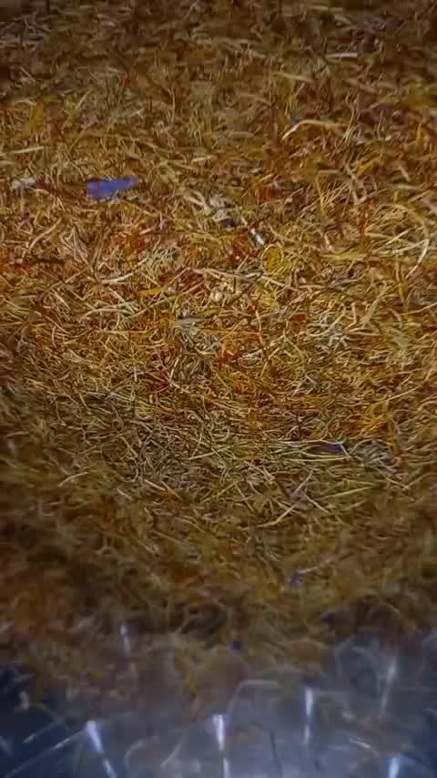 1 مثقال ریشه خالص زعفران تازه و امسالی