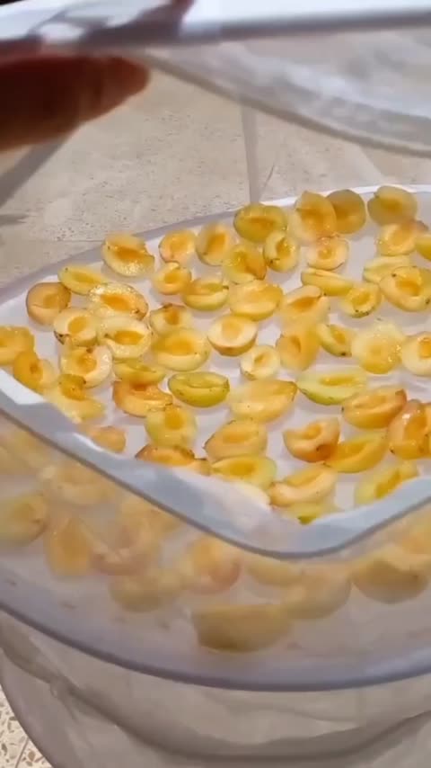 توری پنج طبقه خشک کن میوه و سبزیجات