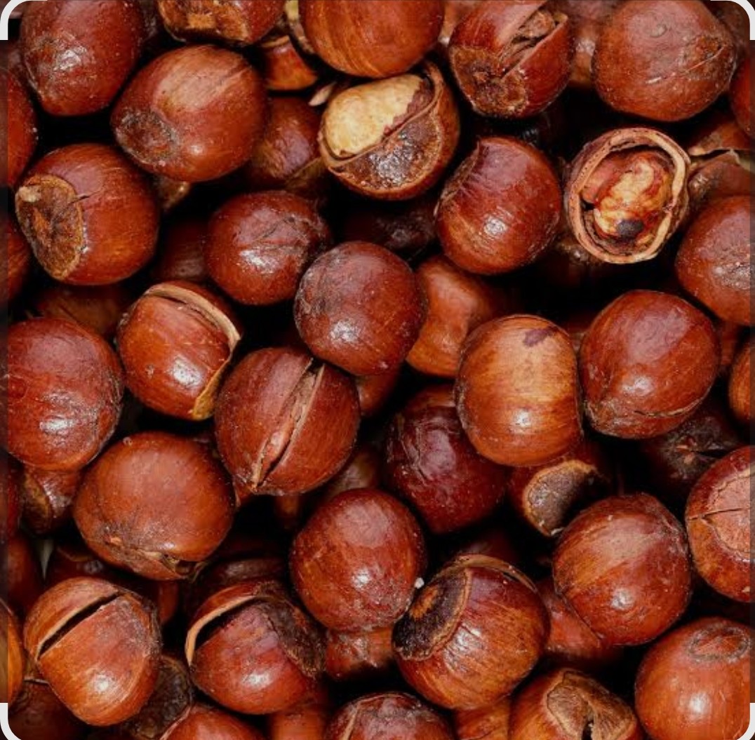 فندق با پوست