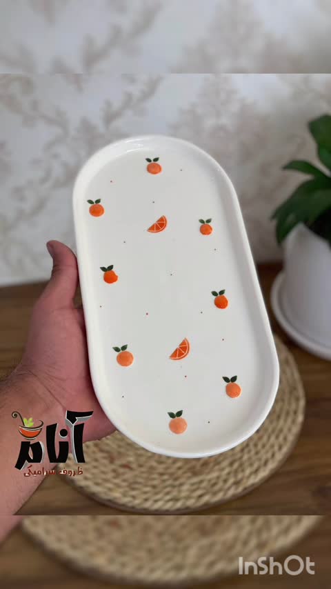 دیس بیضی پرتقالی