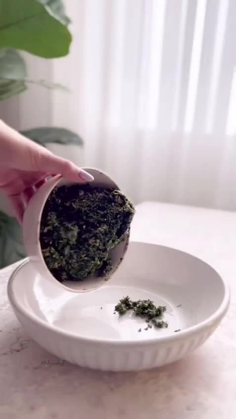 پاستا خوری گرد